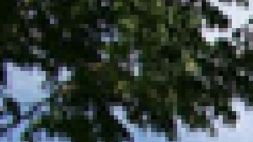 La Universidad Loyola recibió una donación récord de $100 millones para financiar becas para estudiantes de color. Foto Google Maps