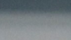 La vicegobernadora de Illinois Juliana Stratton se contagió con el virus covid-19. Foto extraída de Facebook