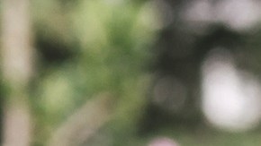 Article6_Hero_athFwd-GettyImages-LAT_1