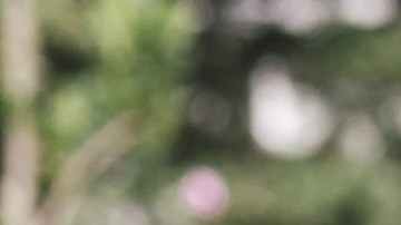 Article6_Hero_athFwd-GettyImages-LAT_1