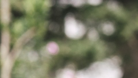 Article6_Hero_athFwd-GettyImages-LAT_1