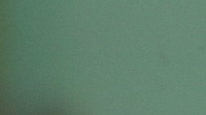 Los padres de la escuela primaria Greeley dijeron que muchos de los nuevos estudiantes son venezolanos recién llegados, por lo que tomaron medidas para ayudar a los estudiantes y sus familias.