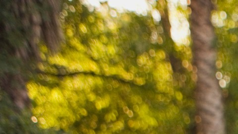 Hero-Image_GettyImages-85630395