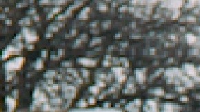 El desfile del Día de San Patricio en el sur de Chicago regresa este 2022. Foto Cortesía Southside Irish Parade website