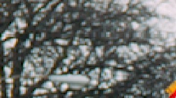 El desfile del Día de San Patricio en el sur de Chicago regresa este 2022. Foto Cortesía Southside Irish Parade website