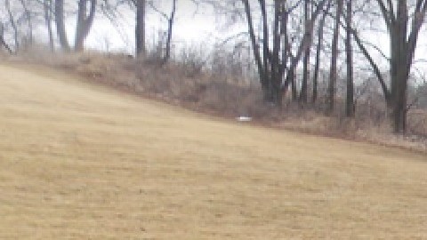 La Policía de Berwyn dijo que se encontró una pistola cargada en el automóvil. Foto Google Maps