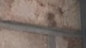 Algunas empresas  de pruebas de covid-19 están siendo investigadas  por el Departamento de Salud Pública y la Oficina del Fiscal General de Illinois. Foto Google Maps