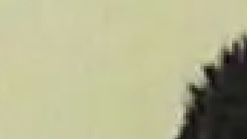 Constantino Vásquez-Juan también deberá registrarse de por vida como delincuente sexual. Foto Departamento Correccional de Illinois