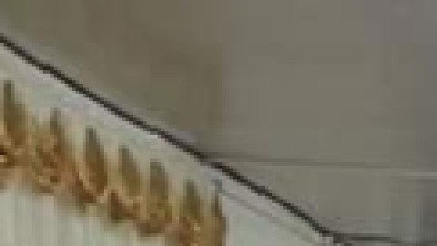 Uno de los robos ocurrió en la iglesia el Consolador en el barrio Hermosa al noroeste de Chicago.