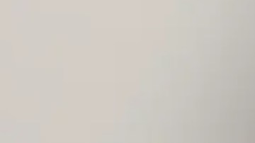 Jordan Shipp de 30 años está acusada de matar a puñaladas al perro y herir a las mujeres de 60 y 82 años. Foto Departamento de Policía de Chicago