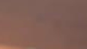 Toni Preckwinkle dijo que el total de asesinatos de 2021 fue más del doble que el año anterior y que hay una razón para el aumento de la violencia. Foto extraída del Facebook de Toni Preckwinkle