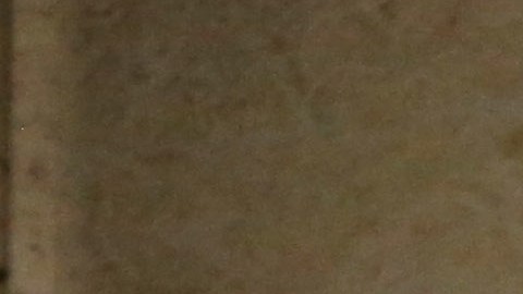 Jason Van Dyke fue liberado de prisión después de cumplir la mitad de su sentencia de siete años por matar a Laquan McDonald.