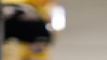 La policía sospechaba que un menor de Waukegan había robado en la tienda Dollar General en Waukegan. Foto Google Maps