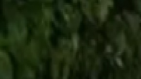 Charisma Ehresman, de 20 años de Forest View  fue presuntamente estrangulada hasta la muerte por Richard Chávez de 24 años. Cortesía Departamento de Policía de Forest View.