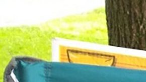 Ignacia Espinoza vendiendo dulces, cacahuates, fruta y semillas un verano en el Douglass Park. (Cortesía Familia Espinoza)