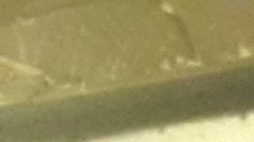 Julio Toenga, residente de Pilsen, es usuario de trenes de la CTA. (Belhú Sanabria / La Raza)