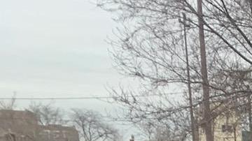 Familiares, residentes y activistas de La Villita recordaron el primer aniversario de la muerte del adolescente Adam Toledo con caminata y mitin. (Cortesía Dolores Castañeda)