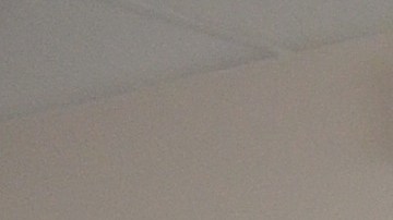 El equipo de trabajo del restaurante Dulce de Leche, en Albany Park. (Belhú Sanabria / La Raza)