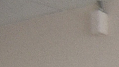 El equipo de trabajo del restaurante Dulce de Leche, en Albany Park. (Belhú Sanabria / La Raza)