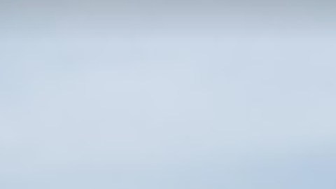 El incidente mortal ocurrió en el estacionamiento de la tienda Food-4-Less ubicada en la cuadra 1000 este Sibley Boulevard en Dolton. Foto Google Maps