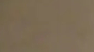 Rondell McCorkle fue puesto bajo custodia el martes sin incidentes y transportado al Centro de Detención de Adultos del Condado de Will. Foto Cortesía Departamento de Policía de Joliet