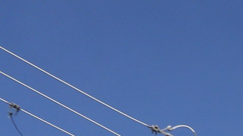 Ananías Ocampo, de 78 años, un vendedor ambulante indocumentado que trabajó durante años empujando un carrito de helados en el vecindario de Pilsen, en Chicago, depende de un andador para desplazarse, el 2 de diciembre de 2021. (Antonio Perez/ Chicago Tribune)