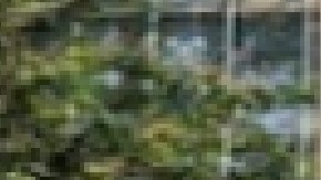 El grupo que trabaja en los paneles solares del Garfield Park Conservatory dijo que presentará sus planes esta primavera. Foto Getty Google Maps