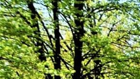 Gaby Hernández Chico, coordinadora y organizadora con la organización Immigrant Solidarity DuPage, explicó que la manta representa el grito desesperado de la comunidad inmigrante al decir “basta, legalización para todos”. (Cortesía Immigrant Solidarity DuPage)