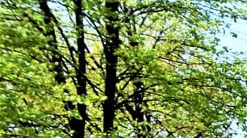 Gaby Hernández Chico, coordinadora y organizadora con la organización Immigrant Solidarity DuPage, explicó que la manta representa el grito desesperado de la comunidad inmigrante al decir “basta, legalización para todos”. (Cortesía Immigrant Solidarity DuPage)