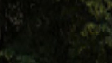 Alrededor de 30,000 estudiantes están matriculados en la Universidad de Illinois en Chicago.