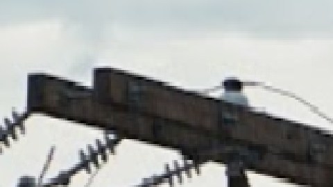 La víctima de 26 años estaba en la estación Cermark de la línea verde de la CTA en la 12 E. Cermark Rd. Cuando tres ladrones se le acercaron alrededor de las 10 pm, dijo la Policía de Chicago.