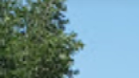 La madre y el bebé están saludables y Hudson nació pesando 7 libras 5 onzas y midió 20 pulgadas.  
Foto Google Maps