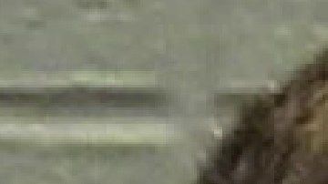 Joseph Guzmán de 20 años ha sido acusado de disparar fatalmente a dos personas en la I-55 el año pasado. Foto Oficina del Alguacil del Condado de Cook