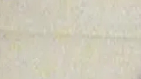 Mindy Bravo de 29 años ha sido acusada de varios delitos los que incluyen correspondencia robada y uso de licencia de conducir fraudulenta. Foto Cortesía Oficina del Alguacil del Condado de Cook