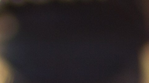 Matices Latinos en Estados Unidos: Cómo cada cultura celebra su individualidad en este país