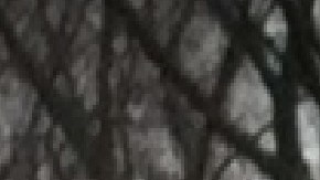 La policía dijo que hay sospechosos bajo custodia en relación con el asesinato a tiros de un adolescente de 14 años mientras caminada en la comunidad de casas modulares Blackhawk Estates. Foto Google Maps