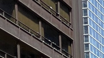 Los coloridos tapetes de Huamantla son muy usados en las celebraciones religiosas mexicanas y en diferentes fiestas sociales y en 2022 esa tradición se ha expresado en Chicago. (Cortesía Consulado General de México en Chicago)