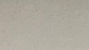 La campaña ‘Defenders for All’ es una coalición de al menos 40 organizaciones que han luchado por la creación de la Unidad de Inmigración dentro de la Oficina del Defensor Público del Condado de Cook. (Cortesía Oficina de Defensores Públicos del Condado de Cook)