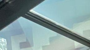 Miembros de la Cámara de Comercio de Pilsen son voluntarios y tienen sus negocios en ese vecindario. (Cortesía Cámara de Comercio de Pilsen)