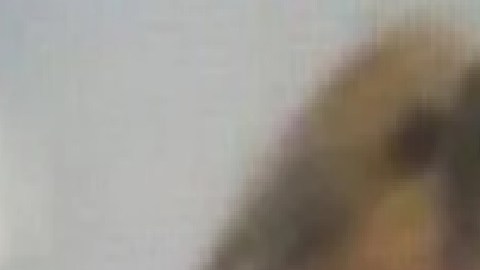 (De Izq. a der.) Lizbeth Aguilar y Alejandra López. Foto Cortesía Departamento de Policía de Chicago