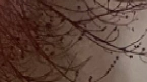 El Departamento de Bomberos de Chicago no ha dicho si cree que los dos incendios están conectados.
Foto Cortesía Chicago Fire Media