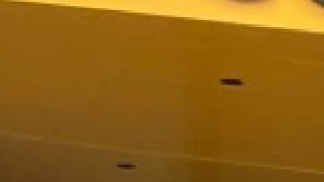 Así luce el nuevo complejo de Apartamentos Lucy Gonzalez Parsons en Logan Square antes conocido como Emmett Street Apartments. Foto Extaído de Facebook LSNA