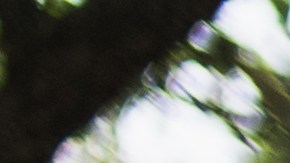 La familia es muy importante y debemos agradecer nuestra herencia cultural.