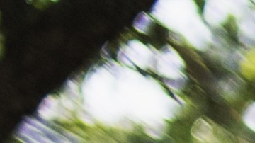 La familia es muy importante y debemos agradecer nuestra herencia cultural.