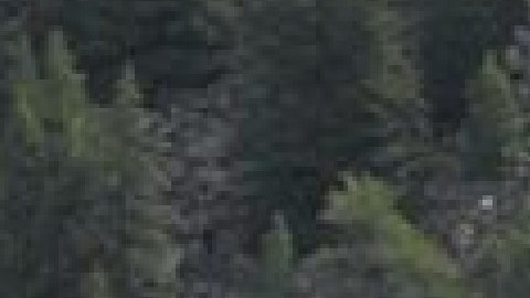 Un tren Antrax que viajaba de Los Ángeles rumbo a Chicago se descarriló contra un camión volquete en Missouri dejando tres personas muertas y varias heridas.