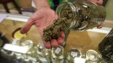 De acuerdo con la ley estatal, el 25% de los ingresos fiscales de las ventas de cannabis deben apoyar a las comunidades afectadas por la criminalización de las drogas.