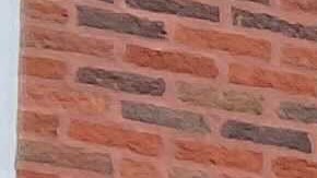 La organización Southwest Organizing Project contrata a adolescentes de áreas peligrosas de Chicago para que colaboren en proyectos comunitarios. (Cortesía SWOP)