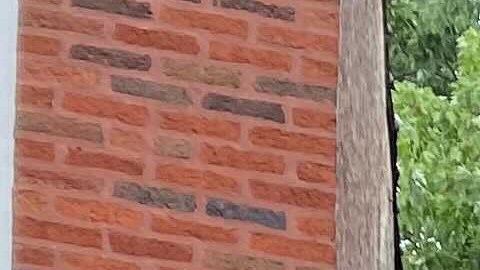 La organización Southwest Organizing Project contrata a adolescentes de áreas peligrosas de Chicago para que colaboren en proyectos comunitarios. (Cortesía SWOP)