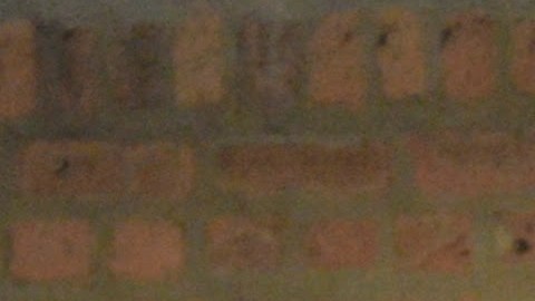 Abogados y defensores de los derechos laborales de Arise Chicago y trabajadores que denuncian robo de salarios exigen el pago por trabajo realizado. (Cortesía Shelly Ruzicka/Arise Chicago)