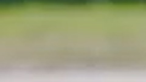 Una docena de atletas del área de Chicago competirán en los juegos nacionales de Florida. Foto captura de página web de Olimpiadas Especiales